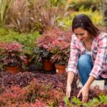 Landscaping Mistakes to Avoid