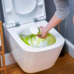 How to unclog a toilet without a plunger with poop